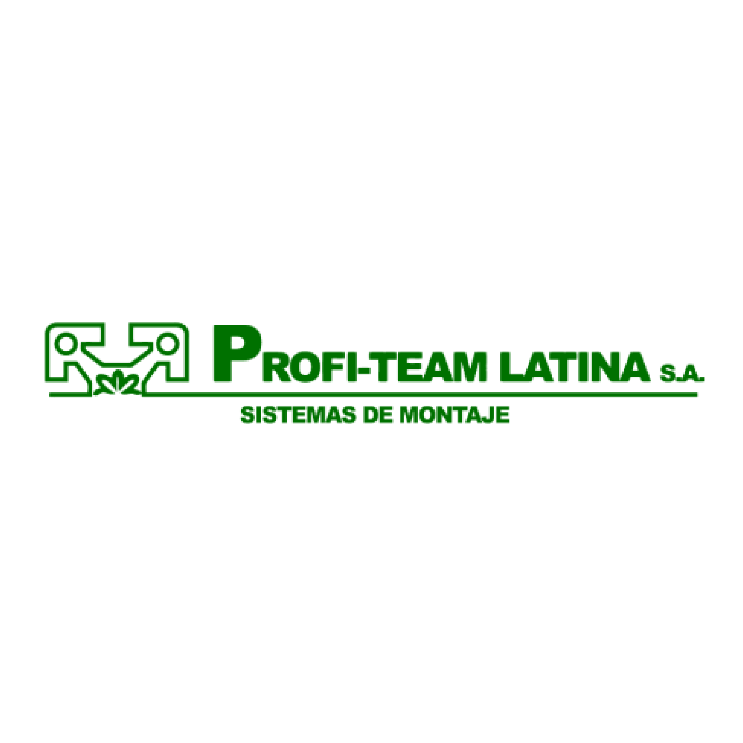 Logo_Profi-Team_Estructuras